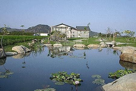 房子後面有魚池好嗎|屋後池塘風水